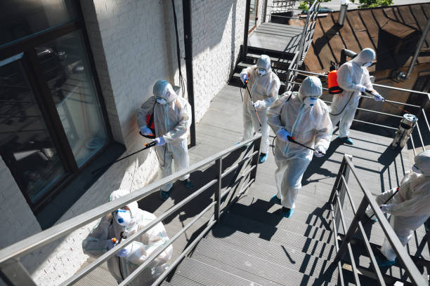Best Comprehensive Air Testing for Mold Contaminants  in Quincy, FL