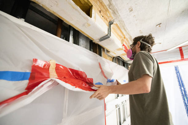Best Emergency Mold Remediation  in Quincy, FL