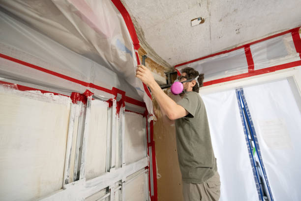 Best Mold Odor Removal Services  in Quincy, FL
