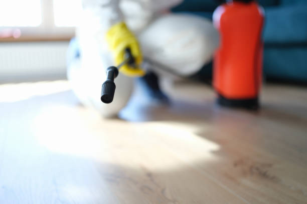 Best Water Damage & Mold Remediation  in Quincy, FL