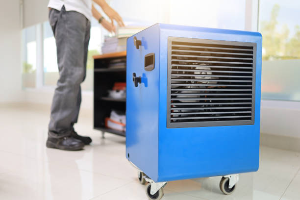 Best Mold Remediation for Healthcare Facilities  in Quincy, FL
