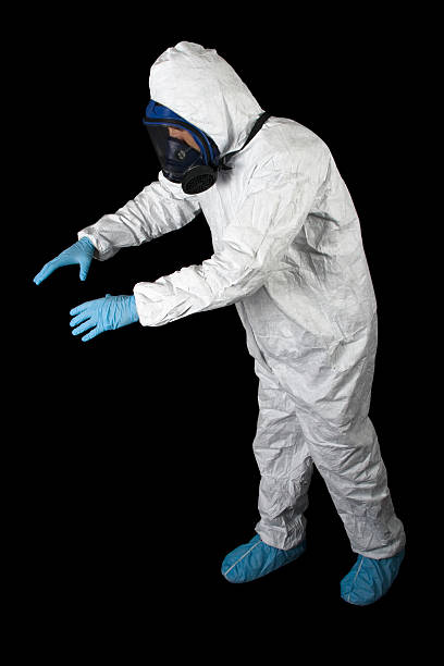 Best Mold Removal for HVAC Installations  in Quincy, FL